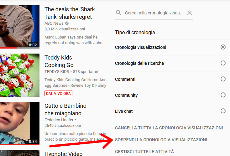 Sospendere la cronologia delle visualizzazioni