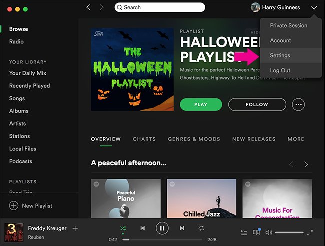 Modifica del volume di riproduzione di Spotify nel computer Modifica del volume di riproduzione di Spotify nel computer