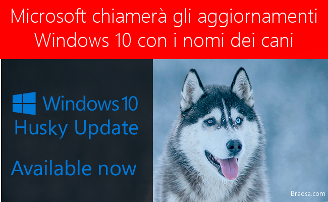 Microsof chiama gli aggiornamenti di Windows 10 con i nomi dei cani Microsof chiama gli aggiornamenti di Windows 10 con i nomi dei cani