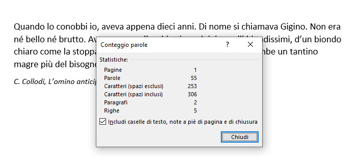Riquadro informazioni numero carattrei righe e parole Word