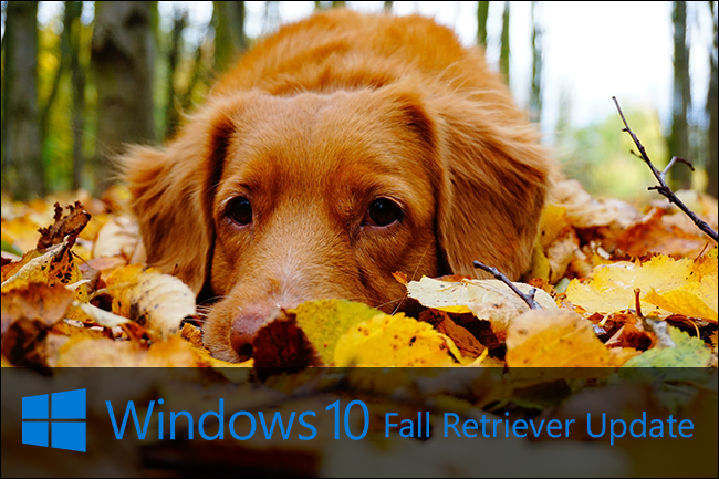 fall-retriever-windows-update fall-retriever-windows-update