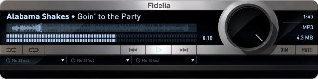 Fidelia Fidelia