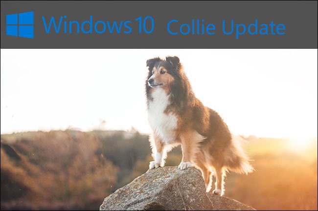 collie-update-windows10 collie-update-windows10