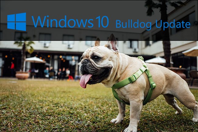 bulldog-windows10-update bulldog-windows10-update