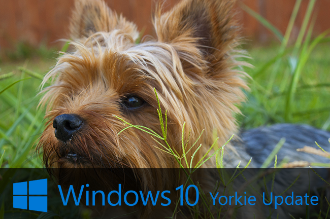 yorki-update-windows-10 yorki-update-windows-10