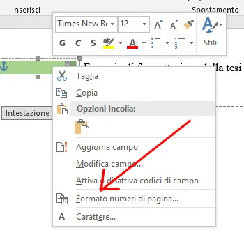 Formato numeri di pagina