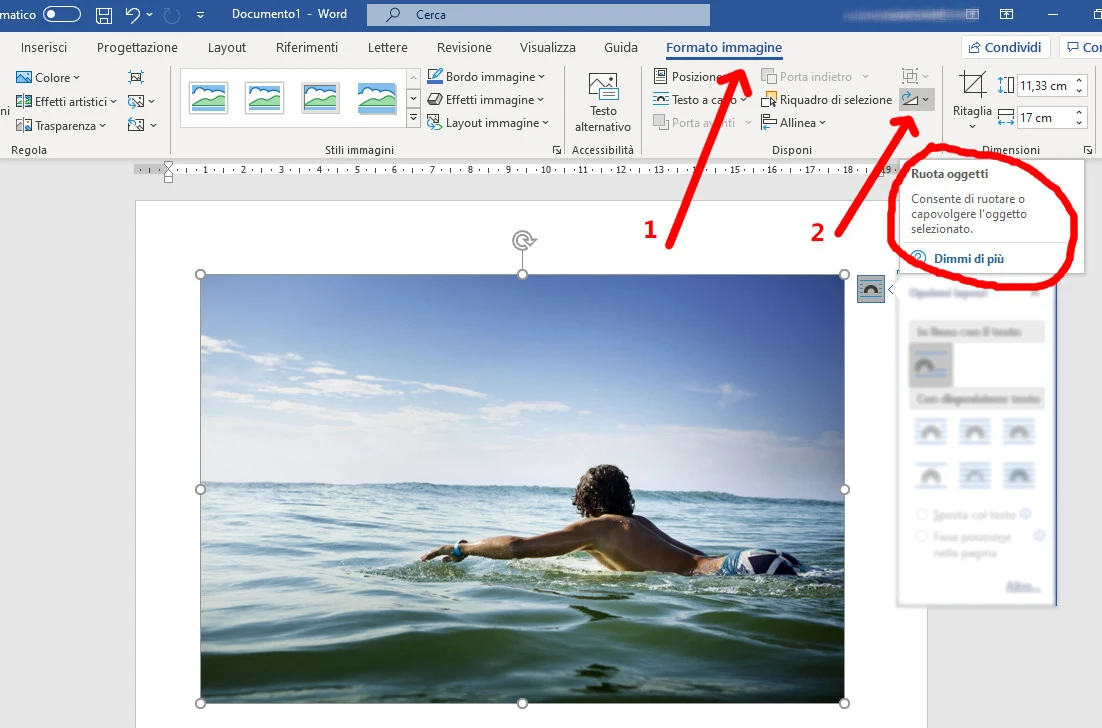 Formato immagine Word Formato immagine Word