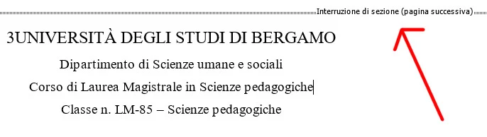 Interruzione di sezione