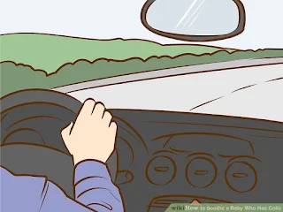 Portatelo a fare un giro Portatelo a fare un giro