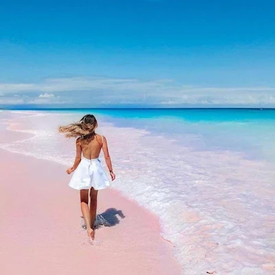 Pink Sand Beach Bahamas
