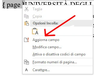 Aggiorna campo