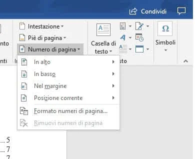 numero pagina